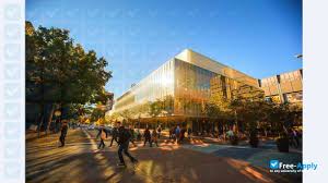 Ryerson students practice yoga ; Ryerson University Free Apply Com
