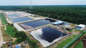 And is the most convenient waste disposal method in developing countries. Solid Waste Management Worldwide Environment