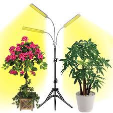 Led grow lights have rapidly come down in price and home growers everywhere are starting to make the switch to solely using them as their lighting option. Grow Light With Stand Led Grow Lamp For Indoor Plants Tri Head Sunlike Full Spectrum 150w 315 Leds Plant Light Tripod Stand Adjustable 15 47 Inch 3 Modes Timer For Indoor Plants Growth Buy
