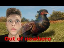 Pheasant in game models revealed! ￼ Out of nowhere?!?! Hunter call of the  wild .