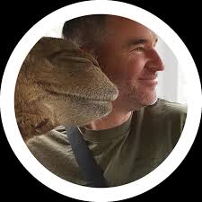 🚀New Video: I Built an AI Voice Travel Agent with ElevenLabs and n8n · AI  Automation Society