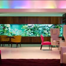 Yes I Will Be Installing An Indoor Mini Shark Tank In My Foyer Entry Of My House One Day