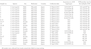Multiplex Pcr Method For Discriminating Between Sphaerophoria Macrogaster Diptera Syrphidae And Sphaerophoria Indiana Diptera Syrphidae