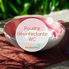 Produits D Entretien Pour La Maison 10 Recettes Naturelles Pour Debutants Produit Menager Fait Maison Produit Entretien Maison Produit Menager Maison