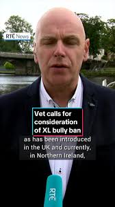 Nicole Morey Pitbull