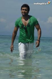 7aum Arivu Surya Actor Actor Photo Cute Actors