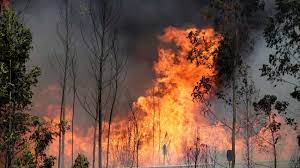 Maybe you would like to learn more about one of these? Mais De 60 Concelhos Em Risco Maximo De Incendio Em Portugal Continental