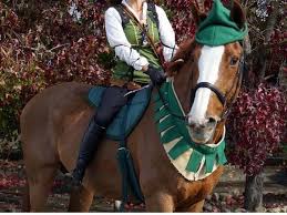 Peter Pan Robin Hood Elf Costume For Horses Drafts By Mybuddybling Horse Costumes Horse Halloween Costumes Horses