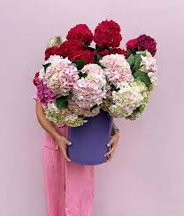 Flower Bowl Geelong En Instagram If You Didn T Know Any Better You D Think This Is Just A Pink Shop Full Of Hydy I 2020