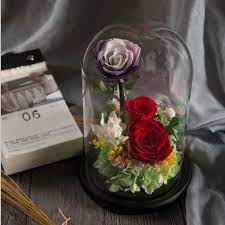 We did not find results for: China 2018 Hot Products Artificial Flowers Valentine Day Gift For Girlfriend Preserved Rose Flower China Preserved Flower Rose And Flower Price