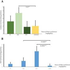 You may discuss with your doctor how it may help your antioxidant. Pdf The Effects Of Olive Leaf Extract On Antioxidant Enzymes Activity And Tumor Growth In Breast Cancer