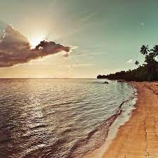 Vintage Beautiful Beaches Summer Beach Photography Beach Photography