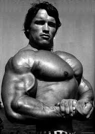 Arnold Schwarzenegger Workout Routine Workoutinfoguru