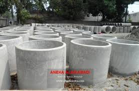 Buis Beton Wadah Budidaya Ikan Lele 2 Bulan Panen