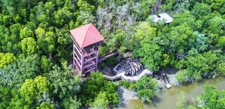 Jangan di cuba, kang kalau minat kang, ada duduk. 15 Akitiviti Menarik Yang Mesti Buat Di Pulau Kukup Malaysia Edisi 2021 Cari Destinasi