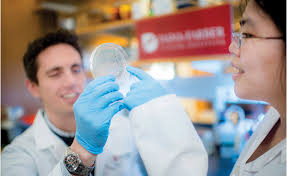 2024 Hope...It's a Beach Thing: Mallory OBrien's Fundraising Page