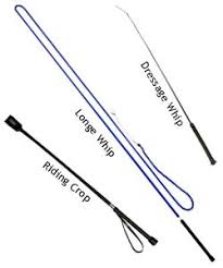Grades 1 to 9 are compulsory and are classified as general education and training. Equestrian Movement Crop Vs Dressage Whip What To Use When