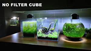 30ᶜᵐ Cube Aquarium No Filter Setup Aquarium Diy Aquarium Fish Tank