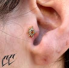 Image result for Tragus koelerioides