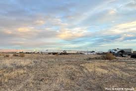 Image result for Bell Grey 1995 Fleet