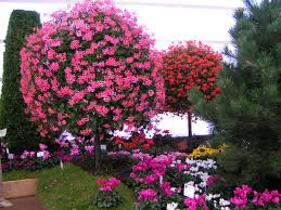 Garten gestaltung, fachwerk bau, recycled holz garten im landhausstil von chippie landhaus | homify. Blumen Baumchen Foto Bild Landschaft Garten Parklandschaften Gartenschauen Bilder Auf Fotocommunity