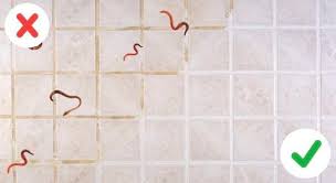 We did not find results for: Worm In The Bathroom Here Are Tips To Get Rid And Repel Them