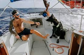 Installer Des Panneaux Solaires Dans Un Camion Amenage Van Ou Camping Car Les Etapes A Suivre Voyager Avec Son Chien Panneau Solaire Bus Scolaire