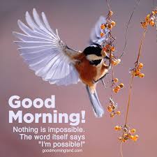 Download morning images and share with friends, relative and social media also. Download Image Of Good Morning Blessed Quotes For Him Good Morning Images Quotes Wishes Messages Greetings Ecards
