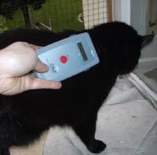Ihr müsst darauf vertrauen, dass alles gut wird! Katzensuchdienst Katzenschutz Bonn Rhein Sieg Ev
