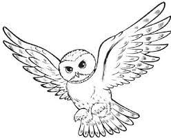 They'll love these hedwig owl coloring pages, free at kids fun and games… please enjoy printing these free hedwig owl coloring pages for your personal use at home. Snowy Owl Hedwig Deep Space Sparkle Harry Potter Coloring Pages Harry Potter Colors Harry Potter Owl