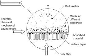 Leading the organization to achieve its vision and mission. Characterization Studies Of Biopolymeric Matrix And Cellulose Fibres Based Composites Related To Functionalized Fibre Matrix Interface Sciencedirect