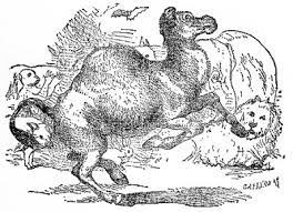 The camel discovers it is good to follow your own dreams. The Monkey And The Camel Aesop