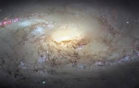 Meet ngc 2608, a barred spiral galaxy about 93 million light years away, in the constellation cancer. Wallpaper Galaxy Constellation The Big Dipper M106 The Dogs Of War Ngc 4258 Images For Desktop Section Kosmos Download