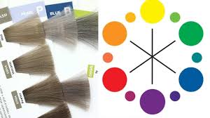 Color Correct Hair Using Redken Shades Eq How To Fix Hair Color Daniella Benita