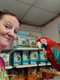 I was cleaning my B&Gs cage outside and a guy rode buy and said he knows  someone that would probably give me a macaw since her husband died and it  was his
