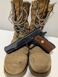 Image result for Brown 1983 Colt