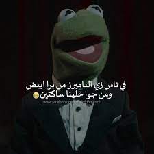 pin on eldofd3 kermit