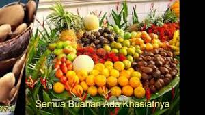 Khamis, 08 ogos 2019 1:00 pm. Buah Buahan Tempatan Buah Buahan Kegemaranku