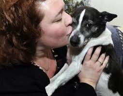 At last, lost Scooby-Doo reunited with owners