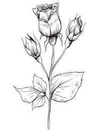 Tapi juga menyenangkan bagi remaja atau dewasa. Kumpulan Gambar Sketsa Gambar Bunga Sketsa Bunga Gambar Bunga
