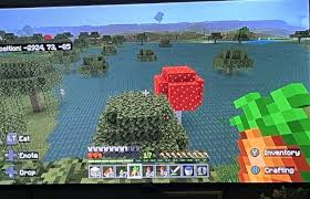 How To Find & Farm A Slime Chunk In Minecraft - Brightchamps Blog