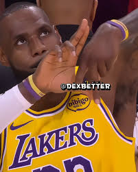 Lebron James Gutter Bunny