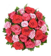 Rose Eleganz Qblumen Deutschland Valentinstagblume Blumenonlinekaufen Blumenonlinebestellen In 2020 Gute Besserung Blumen Romantische Blumen Valentinstag Blumen