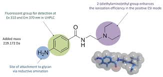 Image result for Procainamide