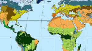 Tropical forests have the largest living biomass and boast some of the highest rates of terrestrial biodiversity. Lesson Plan Discovering Rainforest Locations