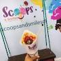 Scoops Hope st Ice Cream Shop from m.facebook.com