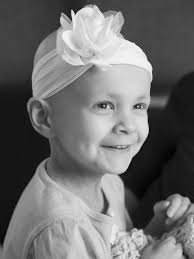 Susan Waisgerber's PMC Photo Gallery