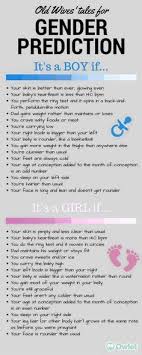 Pin On Pregnancy Human Infant Rights