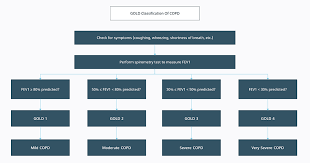 Image result for COPD Management