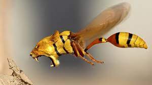 We did not find results for: Top 10 Animal Hybrids Photoshop Youtube